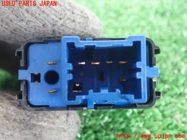 シュタイフ シュタイフ フォクシーフォックステリア EAN076862 シュタイフ