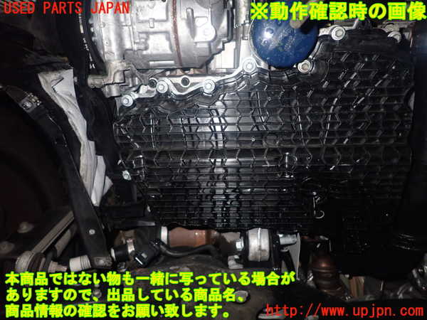 シーフード 51D9uYdvkIL.jpg_BO30,255,255,