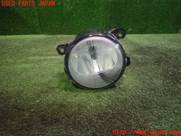 1UPJ-95571182]エルグランド(TE52)左フォグ 中古_m0001.jpg