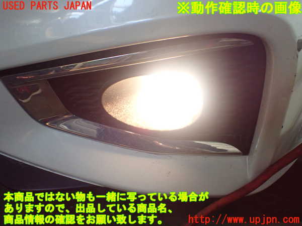 1UPJ-95571182]エルグランド(TE52)左フォグ 中古_m0005.jpg
