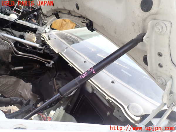 1UPJ-16251068]BMW X6(FG30 E71)ボンネットダンパー 中古_m0002.jpg