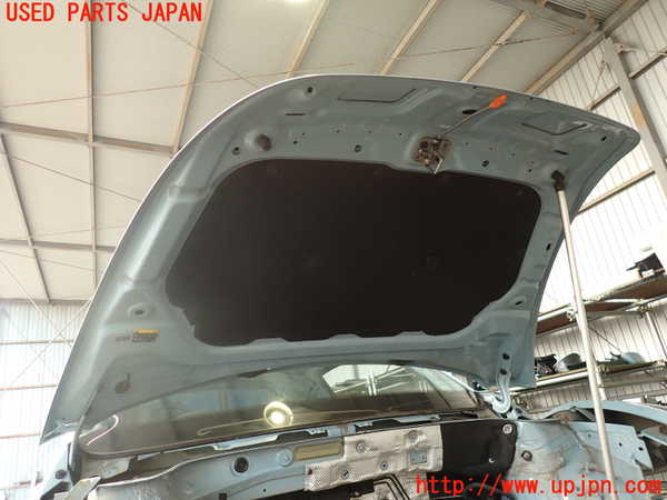 5UPJ-22271060]VW ザ･ビートル(16CBZ)ボンネットフード 中古_m0005.jpg