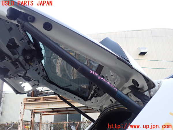 1UPJ-23191584]BMW X5(ZV30S E70)リアゲートダンパー 中古_m0001.jpg