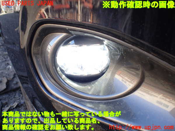 1UPJ-24301180]ハリアー ハイブリッド(AVU65W)右フォグ 中古_m0004.jpg