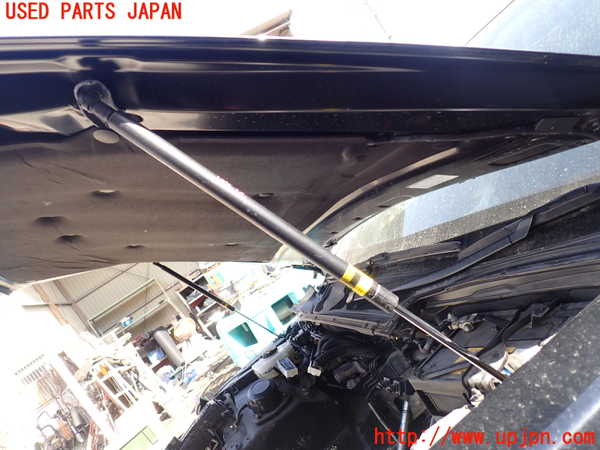 1UPJ-26061068]レクサス・LS460(USF40)ボンネットダンパー 中古_m0002.jpg