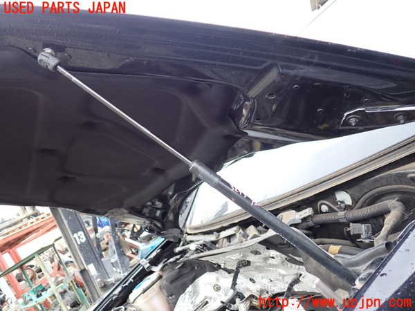 1UPJ-32931068]ポルシェ・カイエン S ハイブリッド(92ACGE)ボンネットダンパー 中古_m0001.jpg