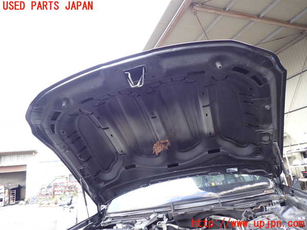 1UPJ-33241060]マセラティ・クアトロポルテ(MQP30A)ボンネットフード 中古_m0005.jpg