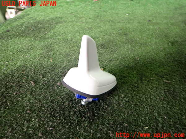 2UPJ-35336550]アウディ・Q3(8UCPSF)アンテナ 中古_m0002.jpg