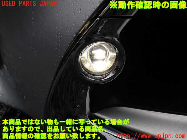 1UPJ-44511180]レクサス・RC300h(AVC10)右フォグ 中古_m0004.jpg