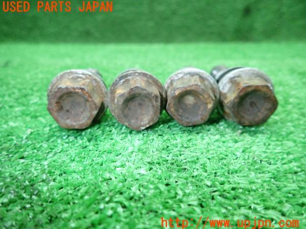 法螺貝 タカシェル 法螺貝 ほらかい ホラガイ ほら貝 口金