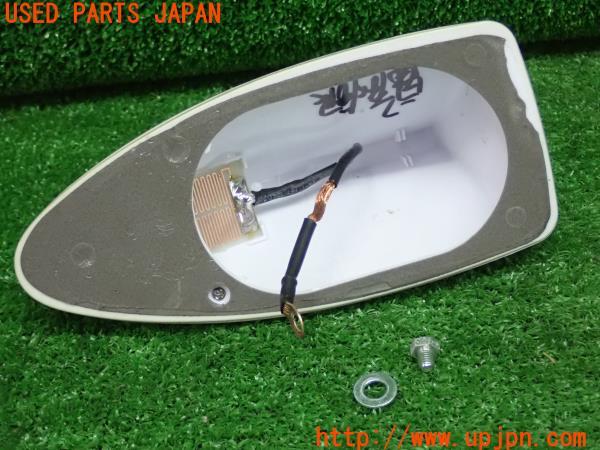 3UPJ=22000510]スイフトスポーツ(ZC33S 2型)社外 アンテナ ドルフィン シャーク 中古_m2