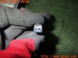 3UPJ=24640528]トライアンフ ストリートトリプル85(SMTTTL1166D)純正 ナンバー灯 中古_s3